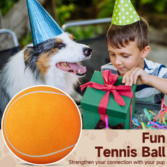 QDAN bola-tenis natural de caucho para perros, adecuada para jugar en interiores y exteriores.