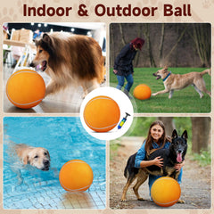 QDAN bola-tenis para perros con bomba y aguja para inflar rápidamente.