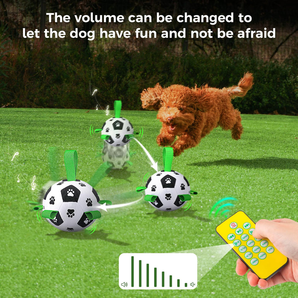 QDAN control remoto cercano para perro, interacción segura y divertida