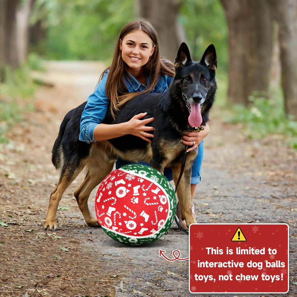 QDAN balón de 9,5 pulgadas para perros grandes y enérgicos.