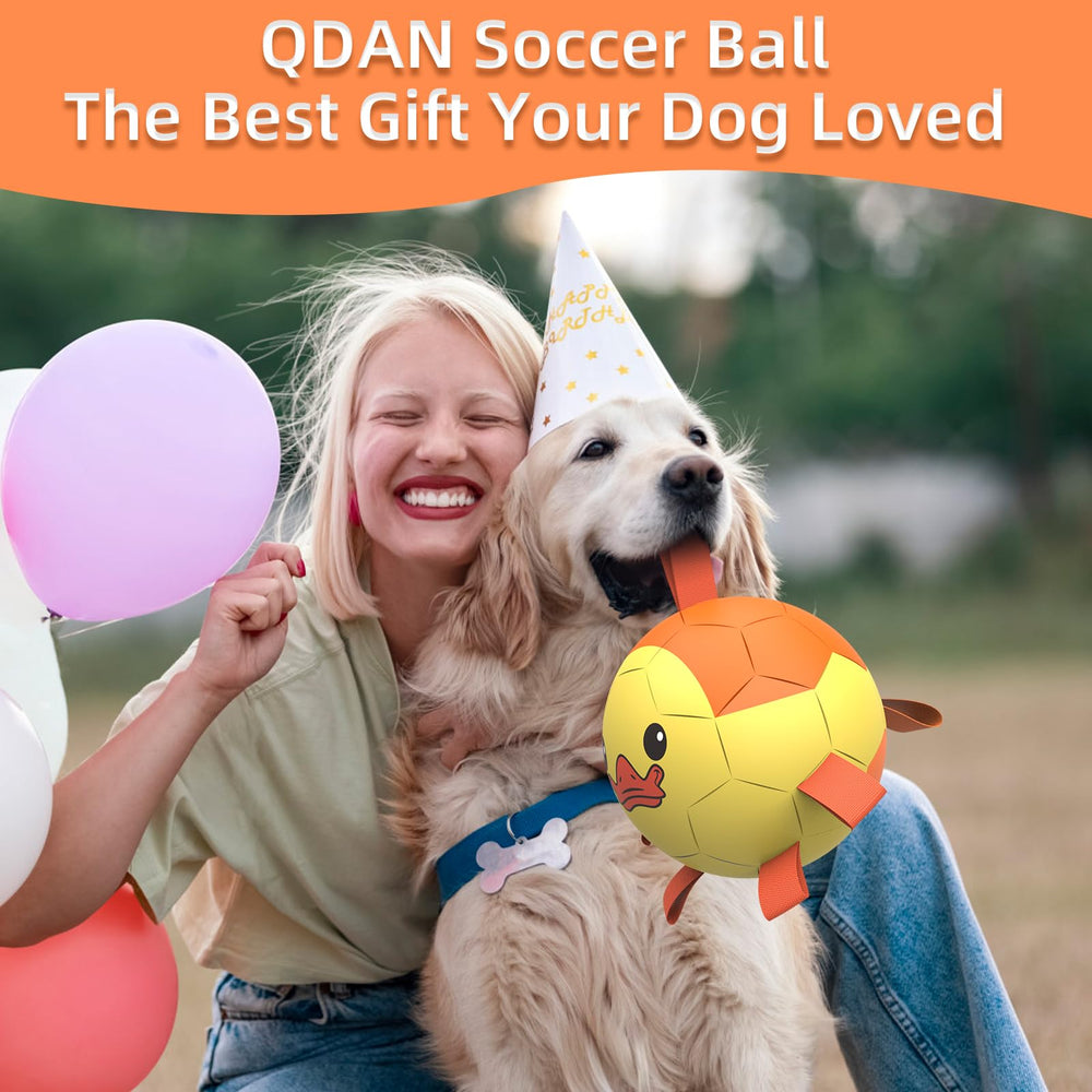 QDAN Diseño interactivo de la pelota para jugar con tu perro.