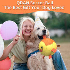 QDAN Diseño interactivo de la pelota para jugar con tu perro.