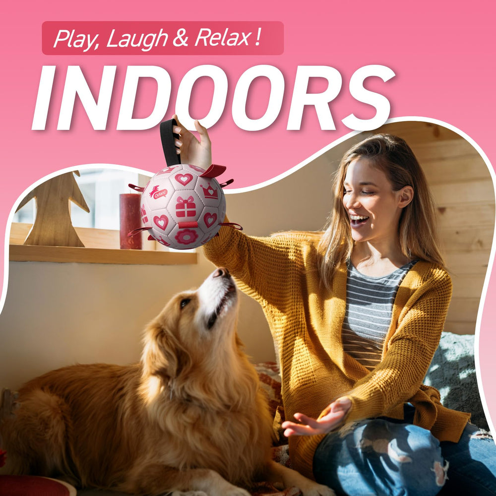QDAN inflador incluido facilita inflado rápido del balón.