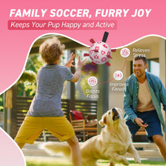 QDAN juego de tirar y jalar con cintas rosadas, fomenta la coordinación entre mascota y dueño.