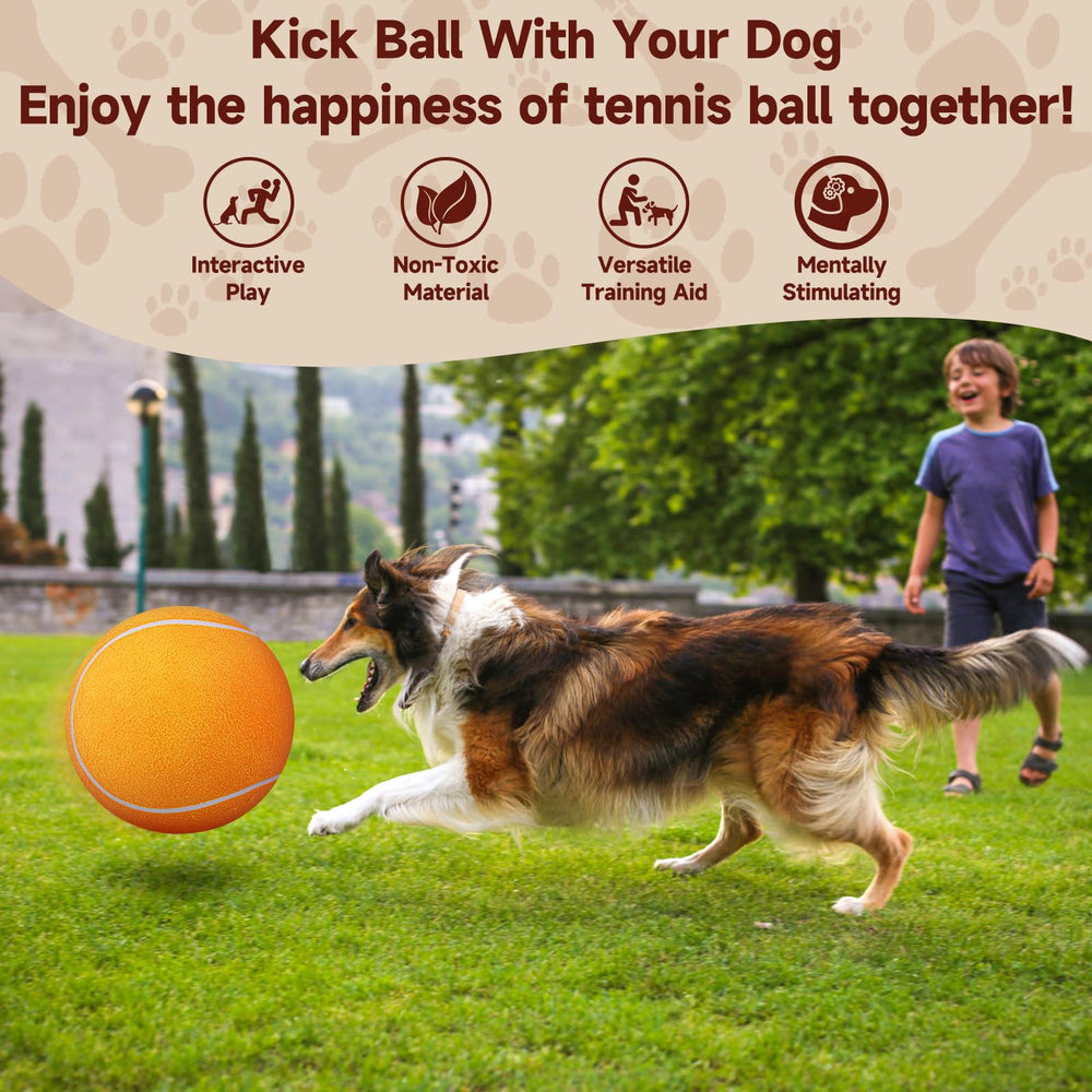 QDAN regalo ideal para cumpleaños de mascotas, promueve actividad y alegría.
