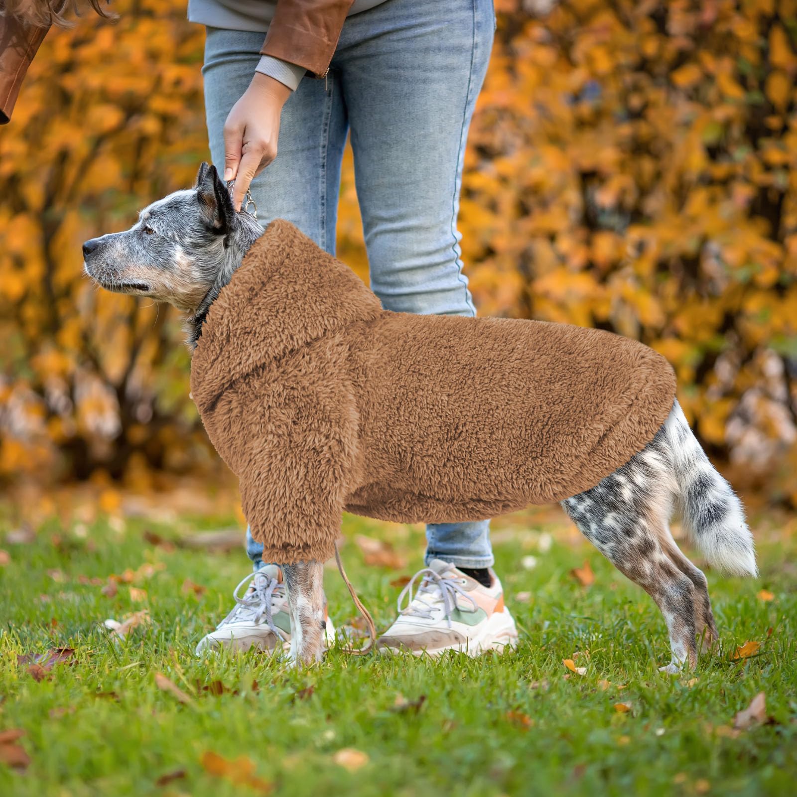 Lavado fácil y alta durabilidad de la sudadera QDYU para perro.