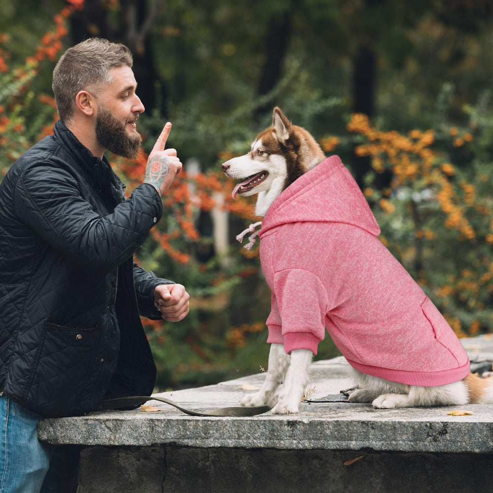 Paseos con estilo y comodidad con la sudadera QDYU