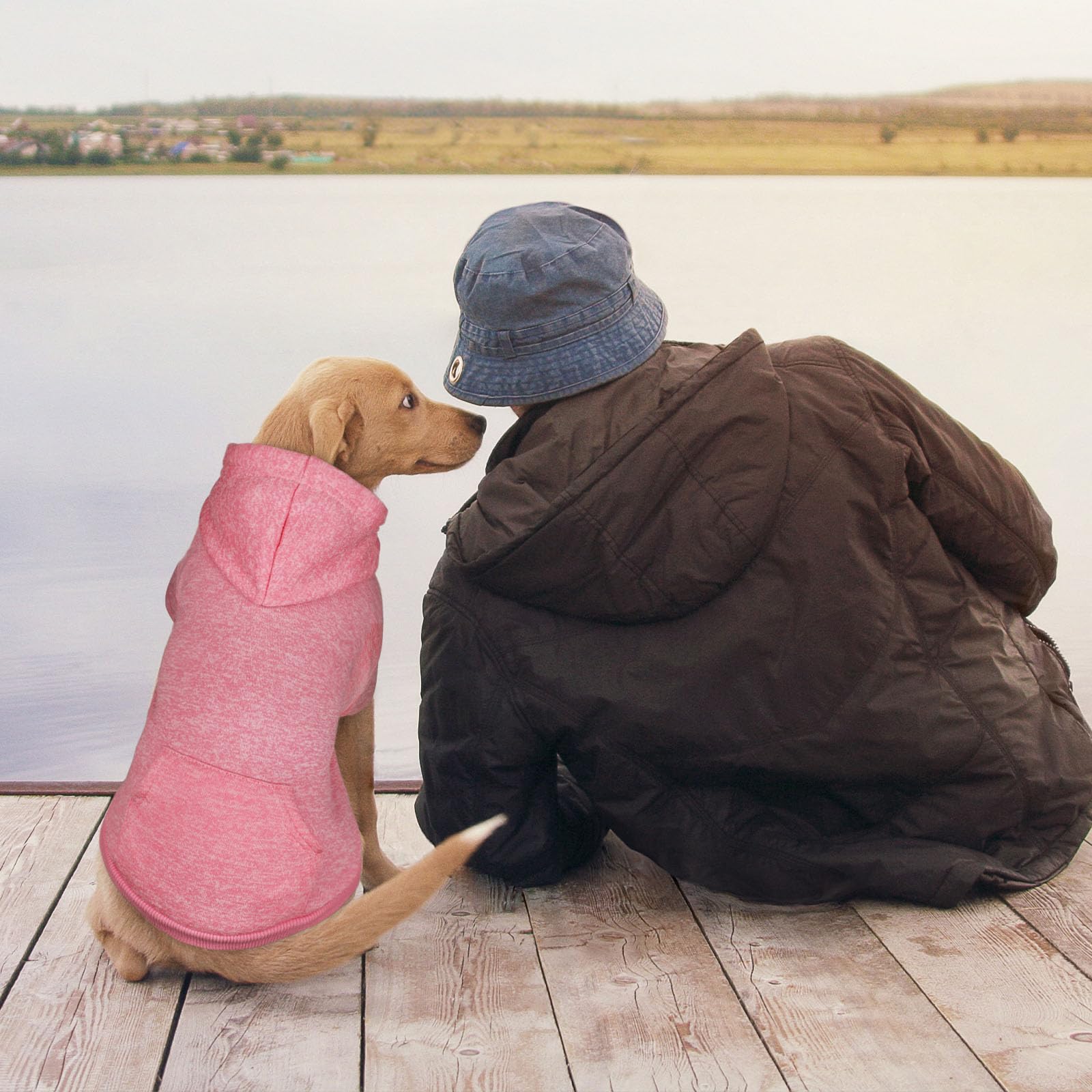 QDYU sudadera duradera y fácil de lavar para perros activos