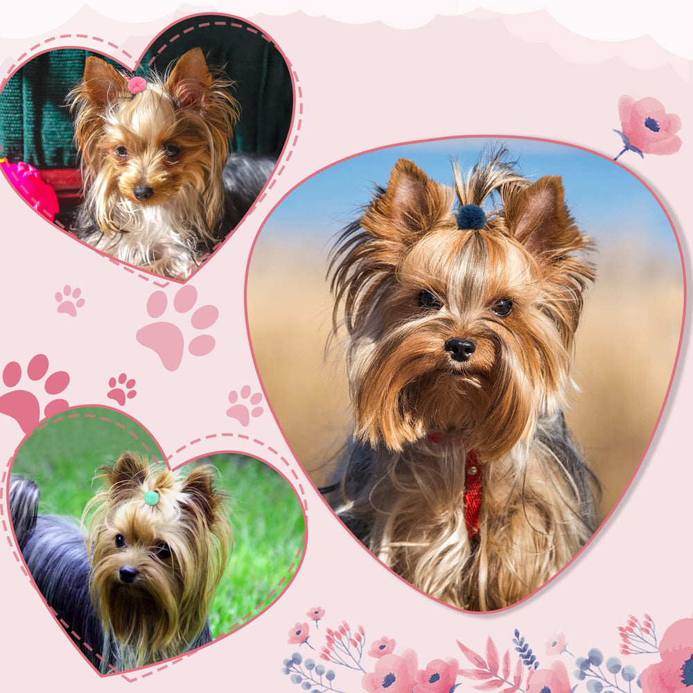 Lazo para perros y gatos de Qearl, ideal para fiestas y fotos.