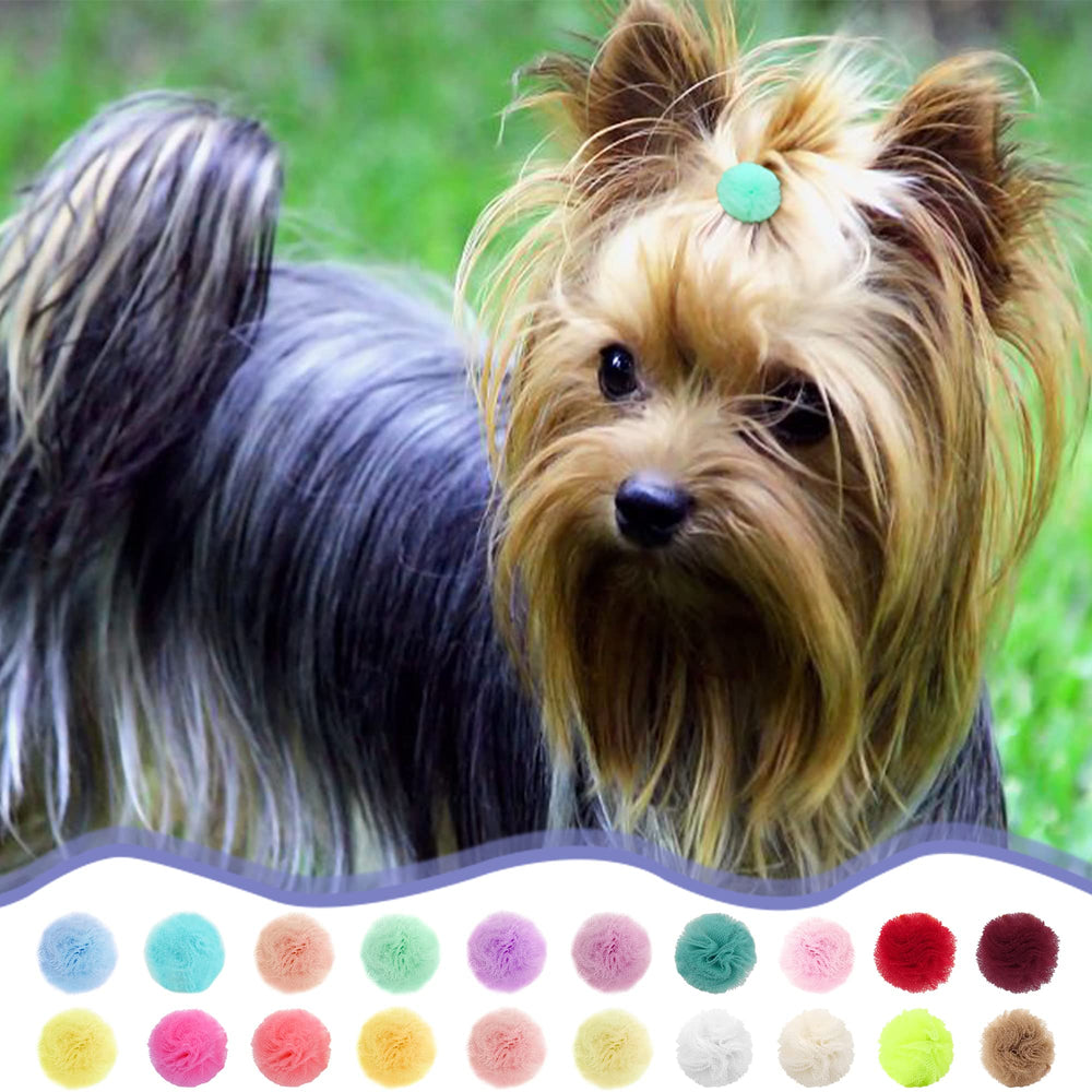 Ideal para fiestas, concursos y sesiones de fotos de mascotas de Qearl.