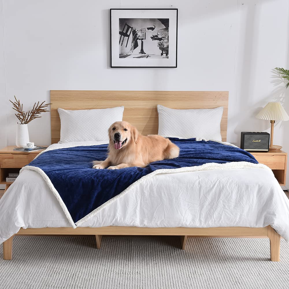 Manta Qeils para perros grandes 60x80, impermeable para evitar filtraciones