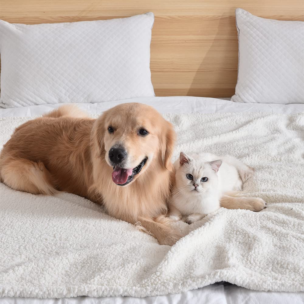 Protección para muebles y confort del perro, manta Qeils en azul marino.