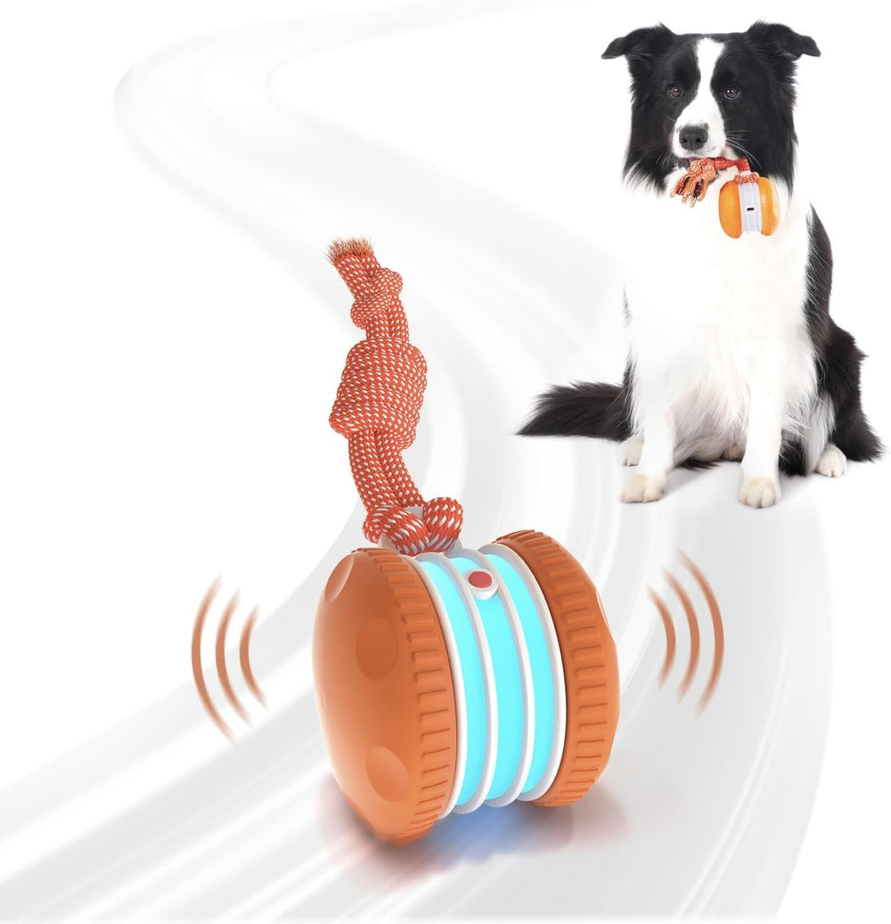 QGI bola interactiva para perros, ideal para juego activo en interiores
