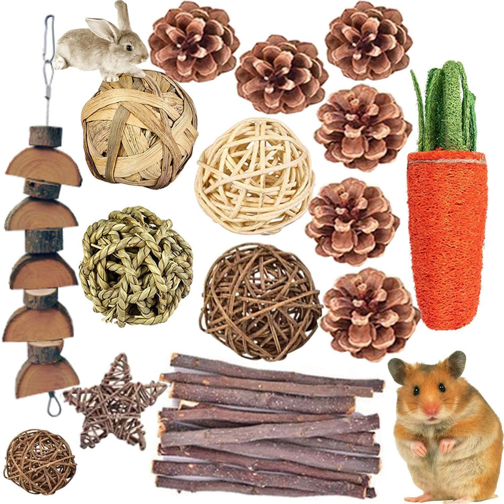 QHZHANG zanahoria de hierba: fomenta la masticación natural y mantiene activo al roedor.
