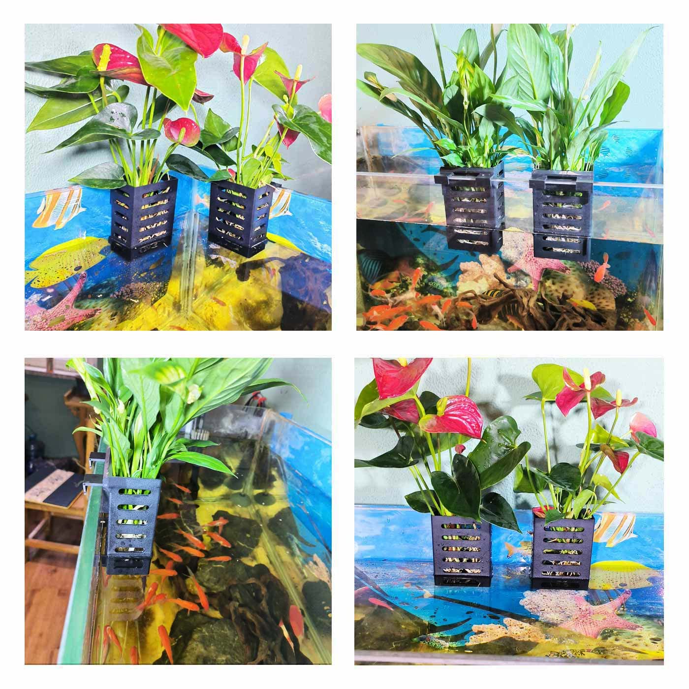QICIKRASE decoración de acuario con plantas flotantes para un ambiente natural.