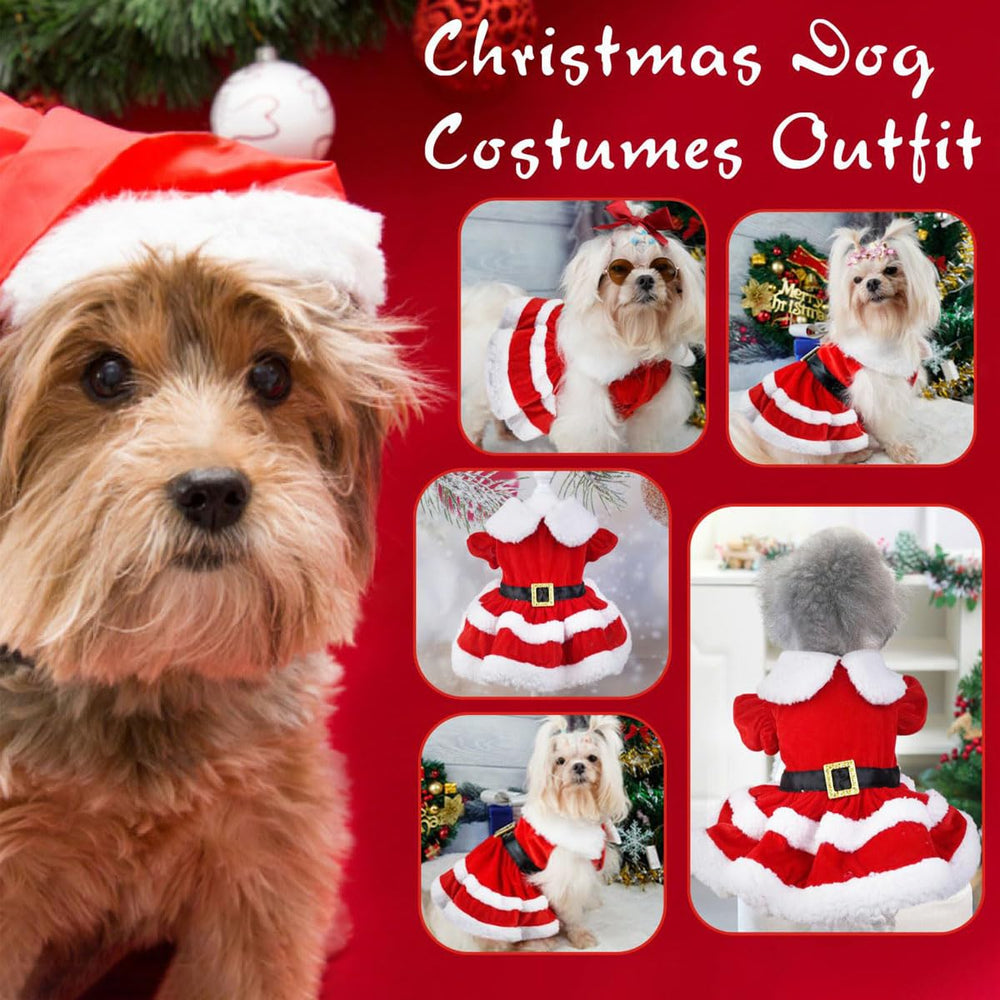 Qidelong disfraz navideño para mascotas, vista trasera que destaca la falda doble.