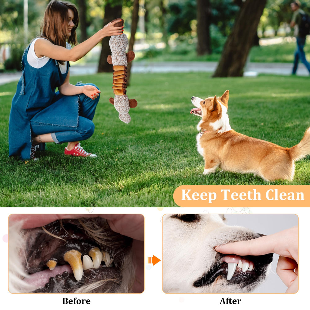 Juguete ornitorrinco para cuidado dental y juego diario.