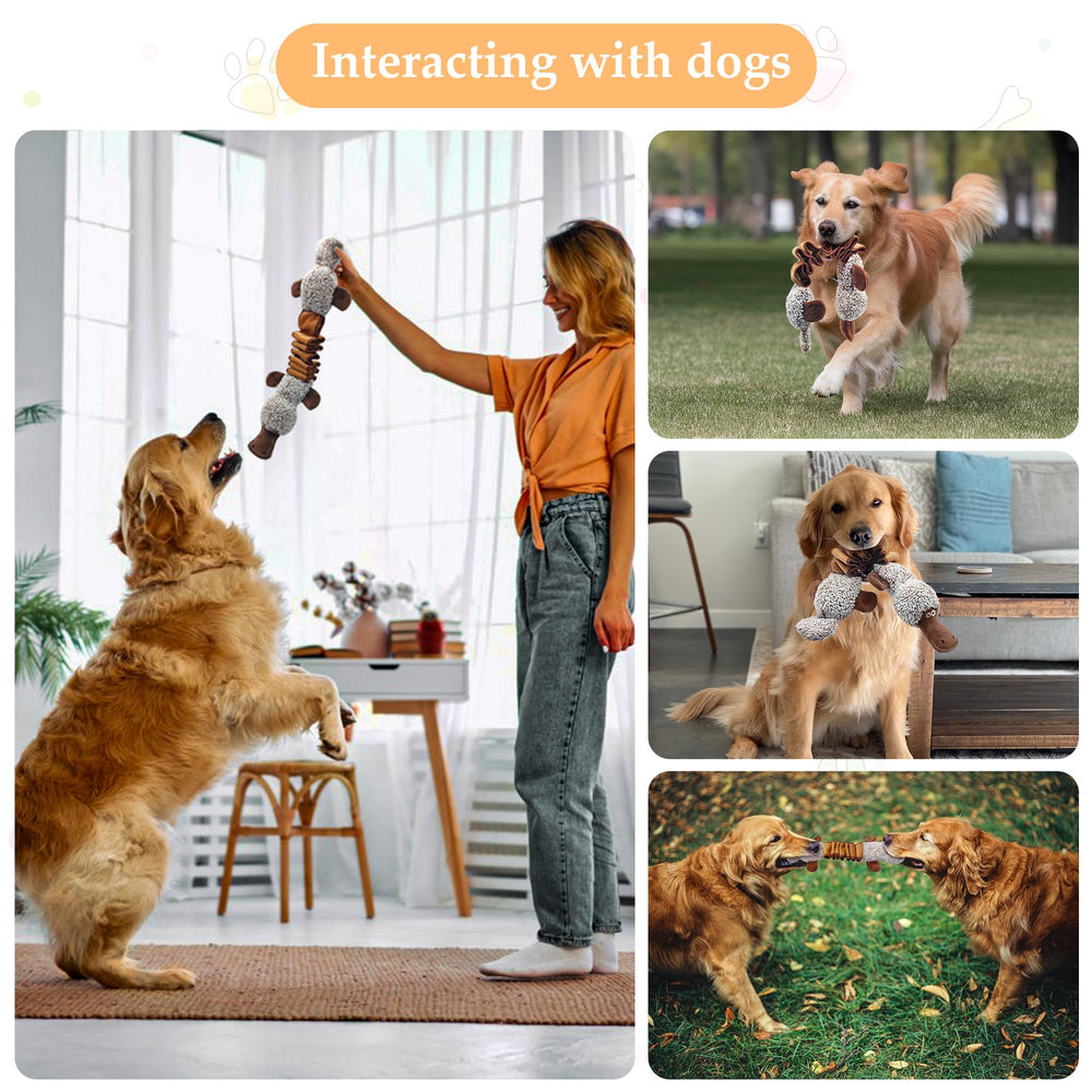Regalo ideal para perros: ornitorrinco divertido para cumpleaños o Navidad.