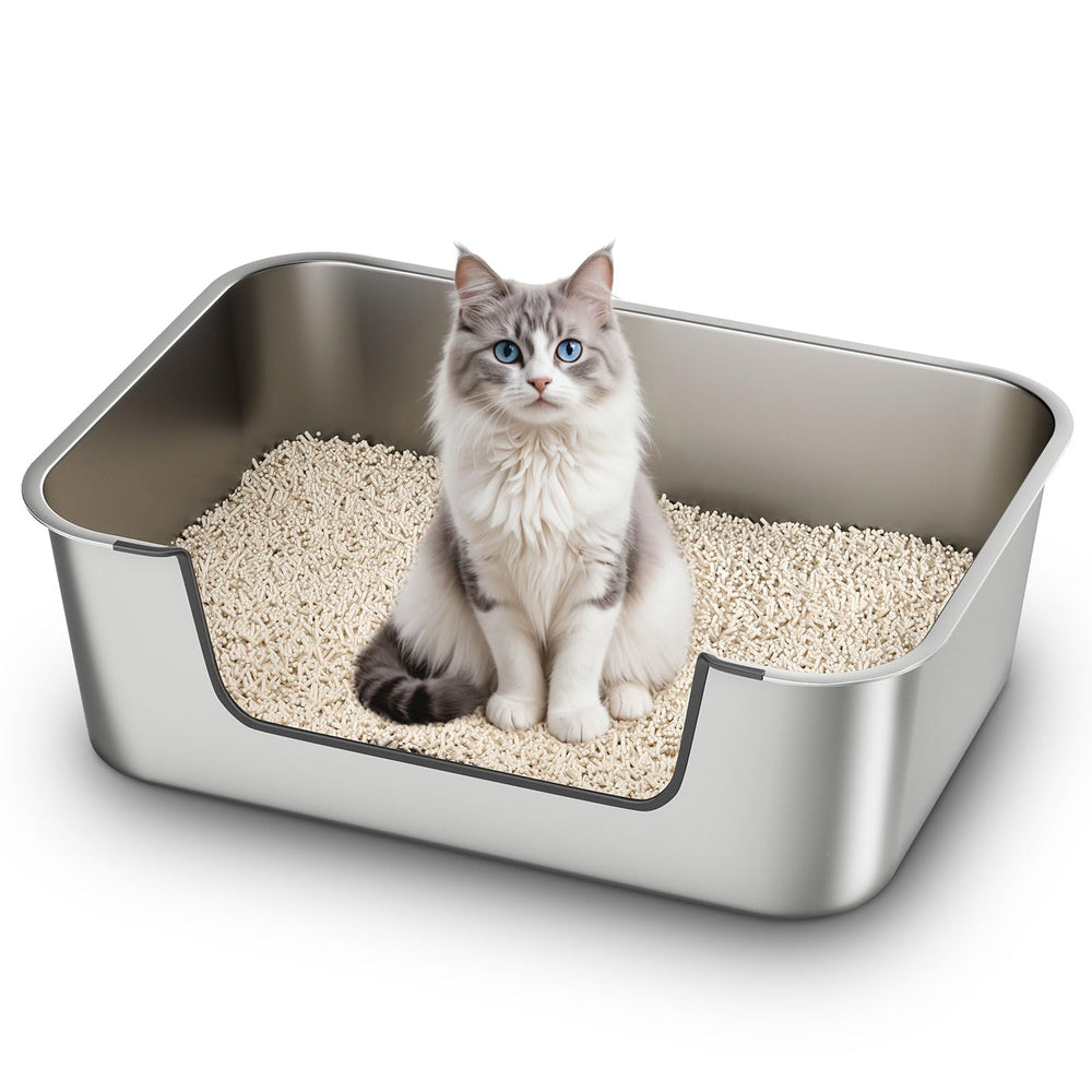 Caja de arena Qiuma de acero inoxidable con borde bajo, fácil acceso para gatitos.