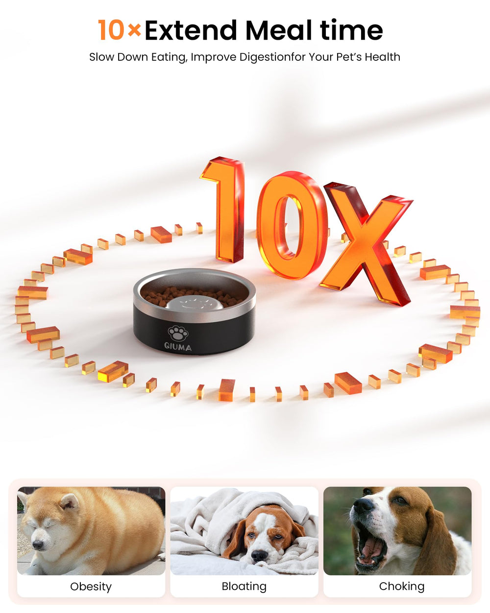 Qiuma tazón de 2 tazas, ideal para perros pequeños y medianos.