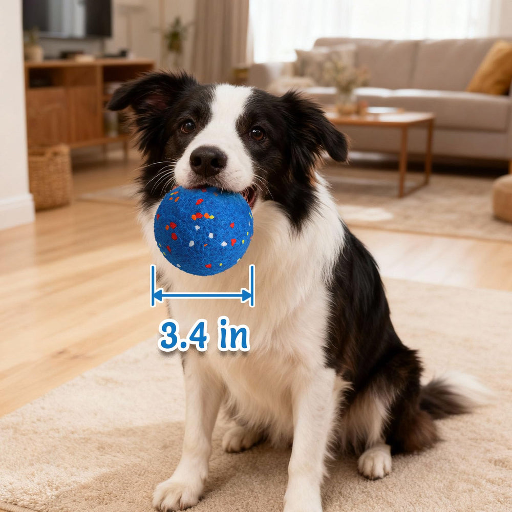 Dos modos de juego ajustables para adaptar cada perro