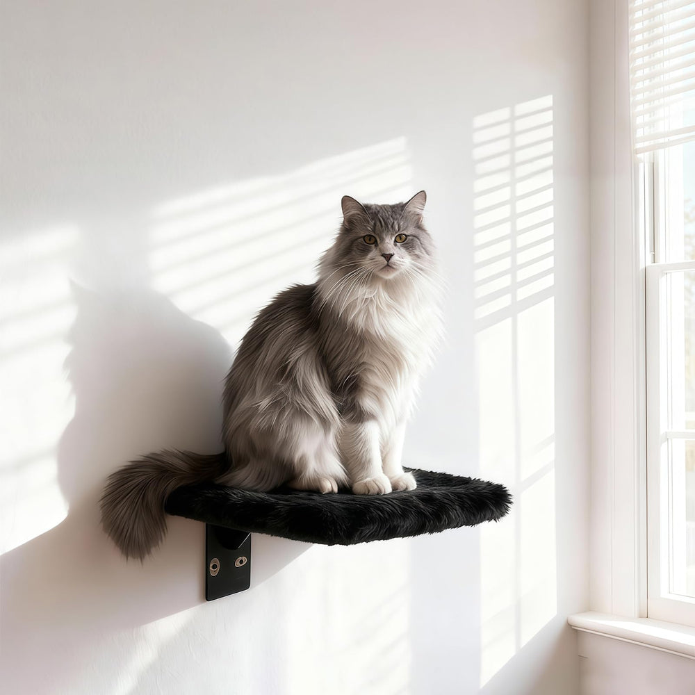 Qlfyuu estantes gato pared montaje sencillo con guía visual