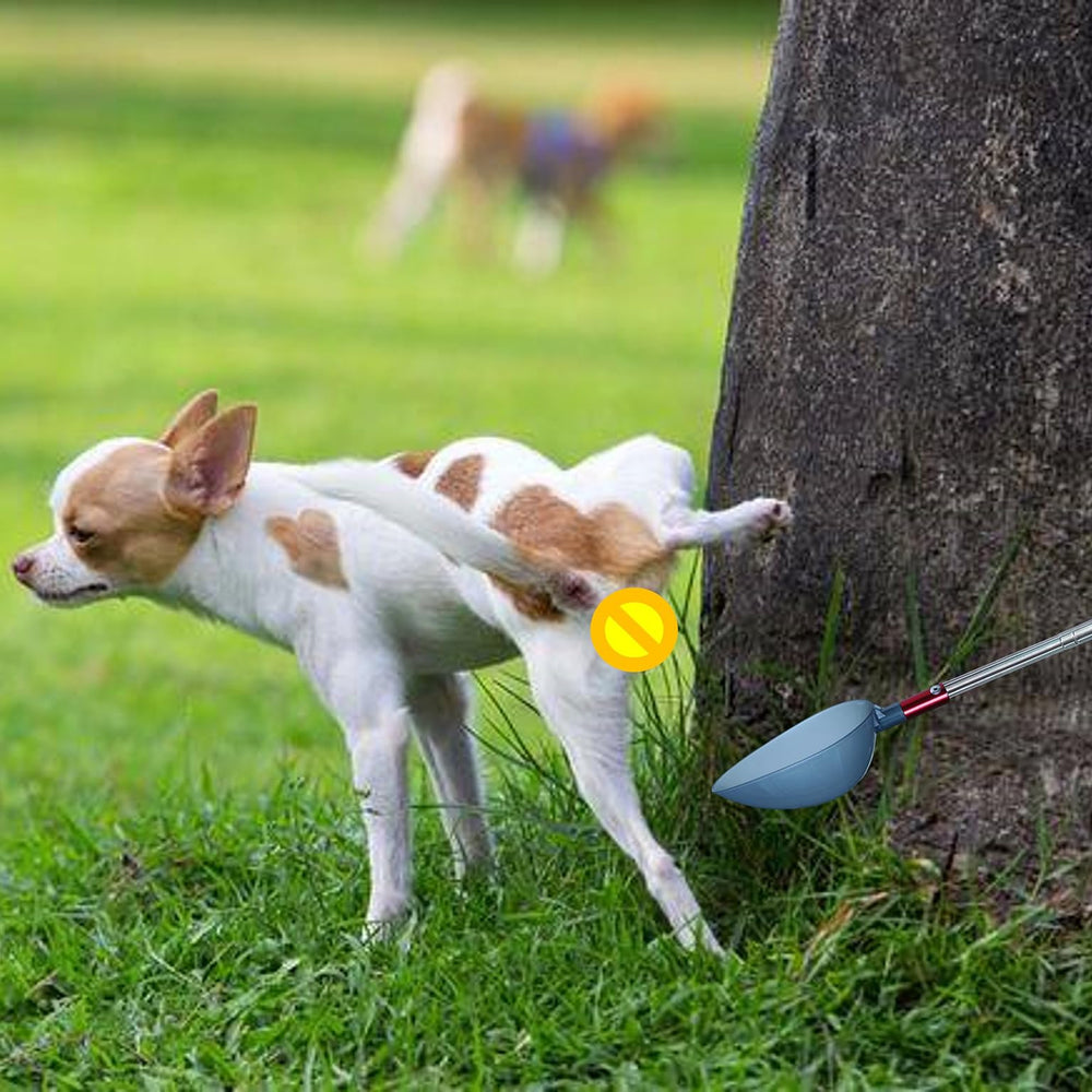 QMARK uso doméstico para mascotas con manejo seguro de muestras.