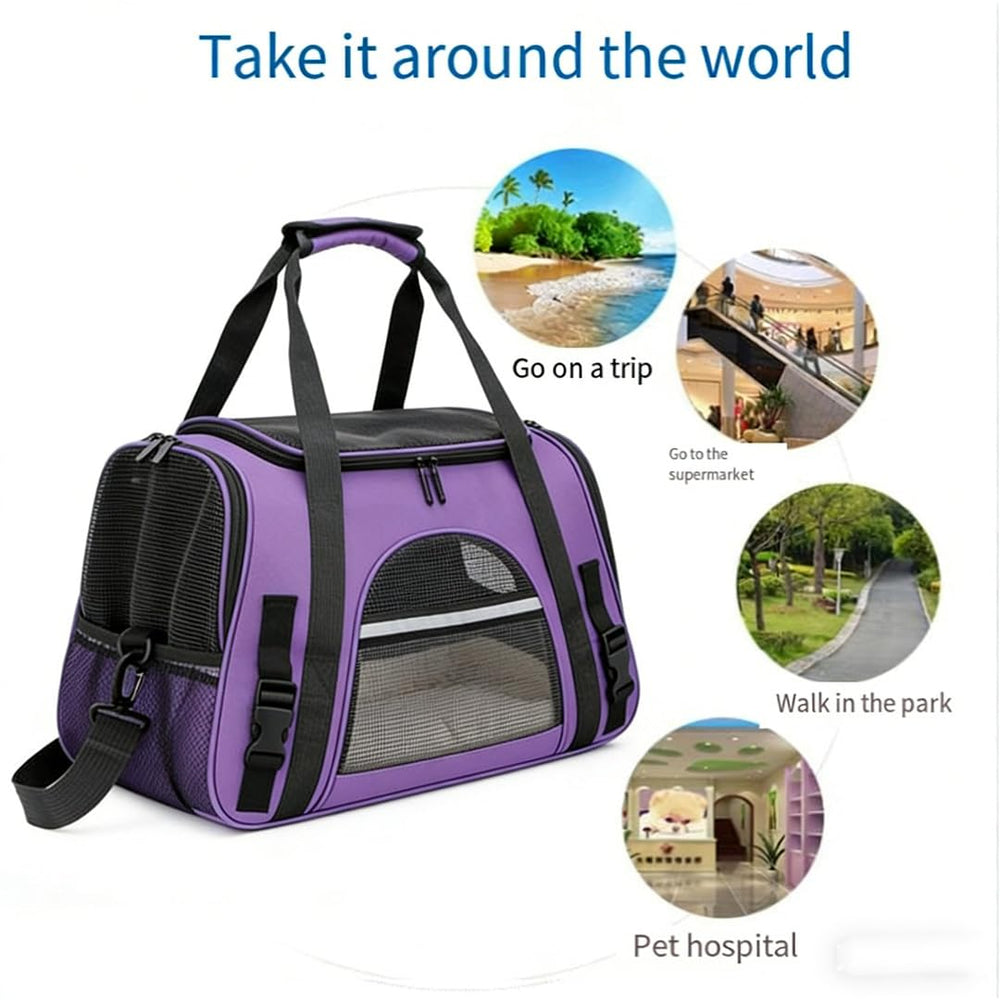 QQLe transporte con ventilación de cuatro caras para visibilidad y frescura.