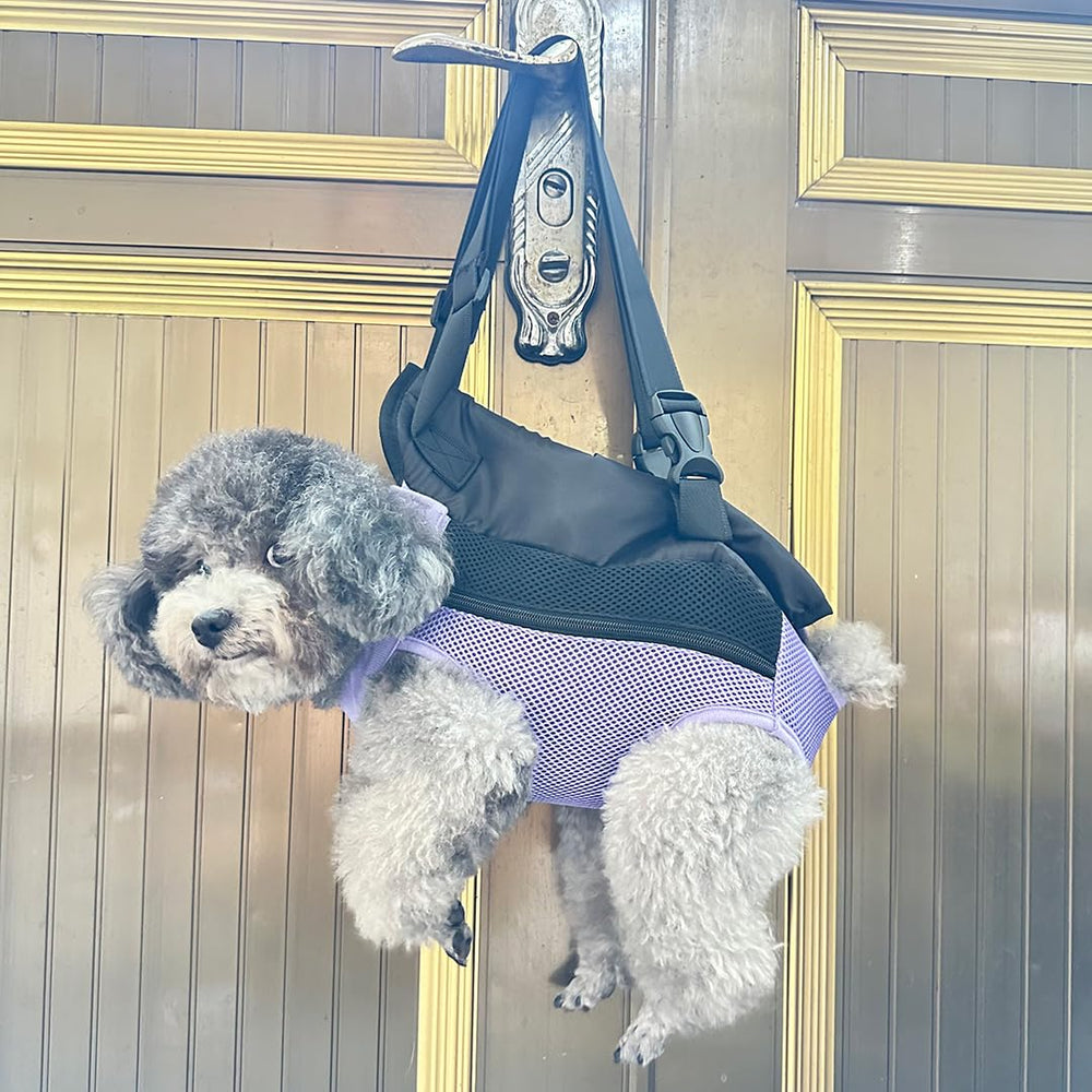 QQLe Mochila para perros purpura de talla XL para aventuras al aire libre