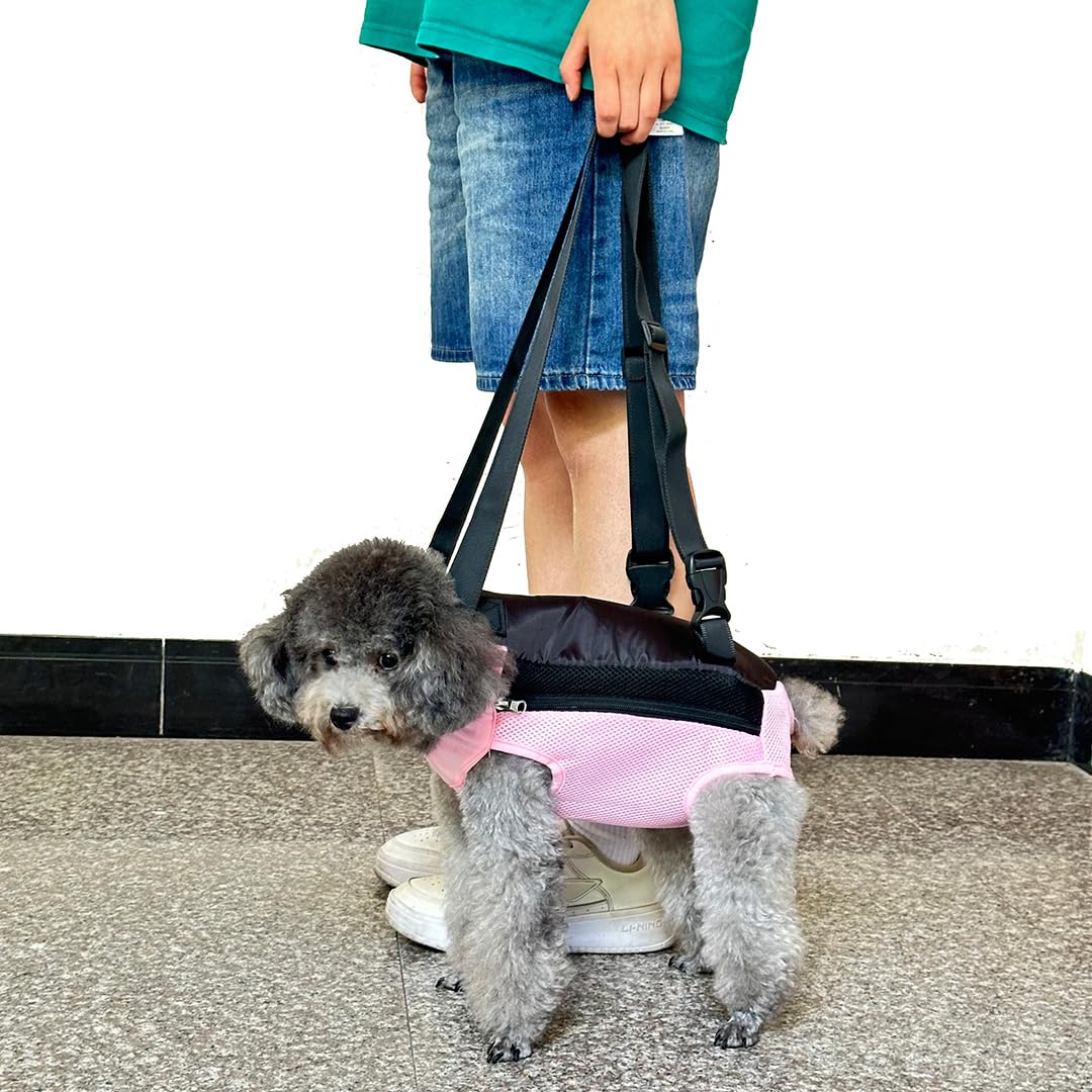 QQLe versión rosa de la mochila porta-perros X-Grande para paseos con estilo.