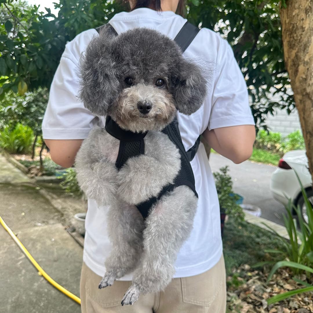 QQLe transporte de mascotas con entrada superior para acceso cómodo.
