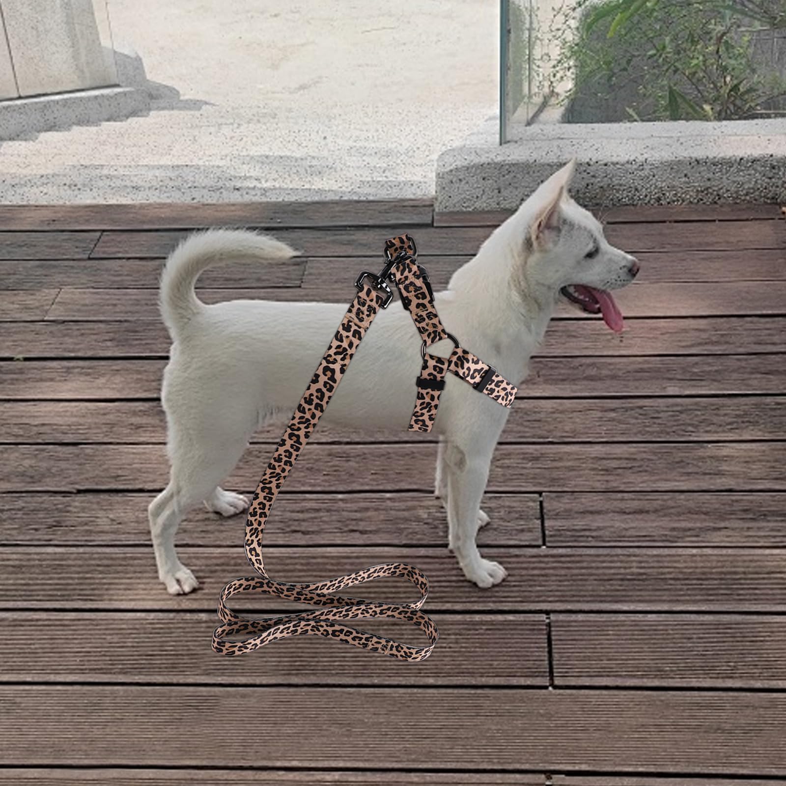 QQPETS anillo de zinc en D para mayor durabilidad.