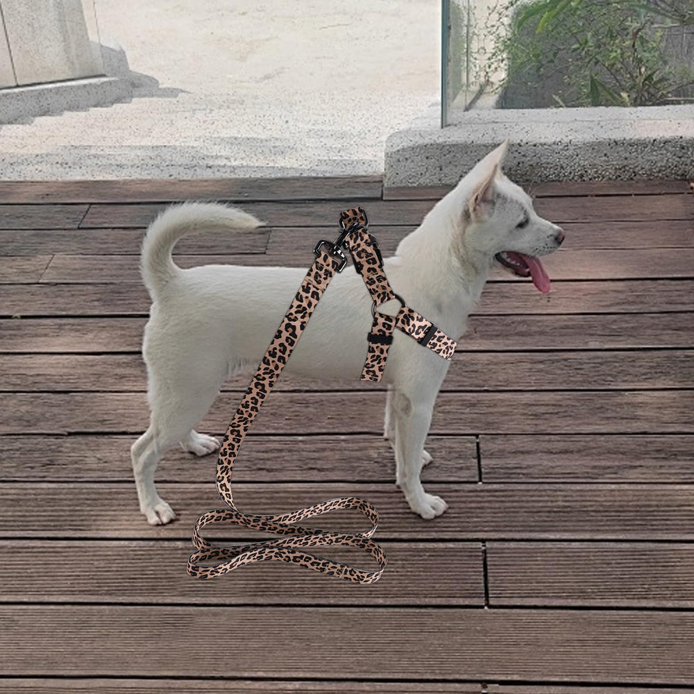 QQPETS anillo de zinc en D para mayor durabilidad.