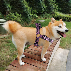 QQPETS arnés con diseño de patrón para perro