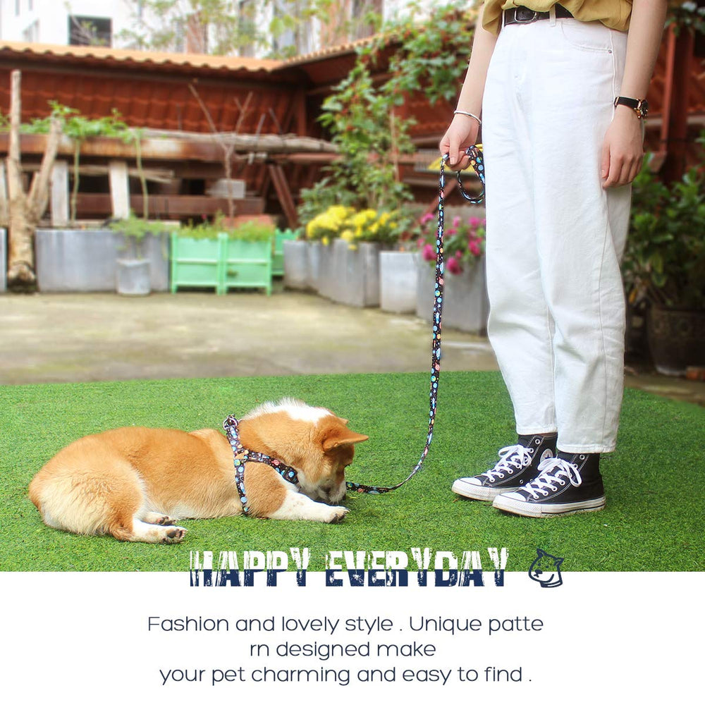 QQPETS arnés y correa versátil, conjunto duradero para perros de todos los tamaños.