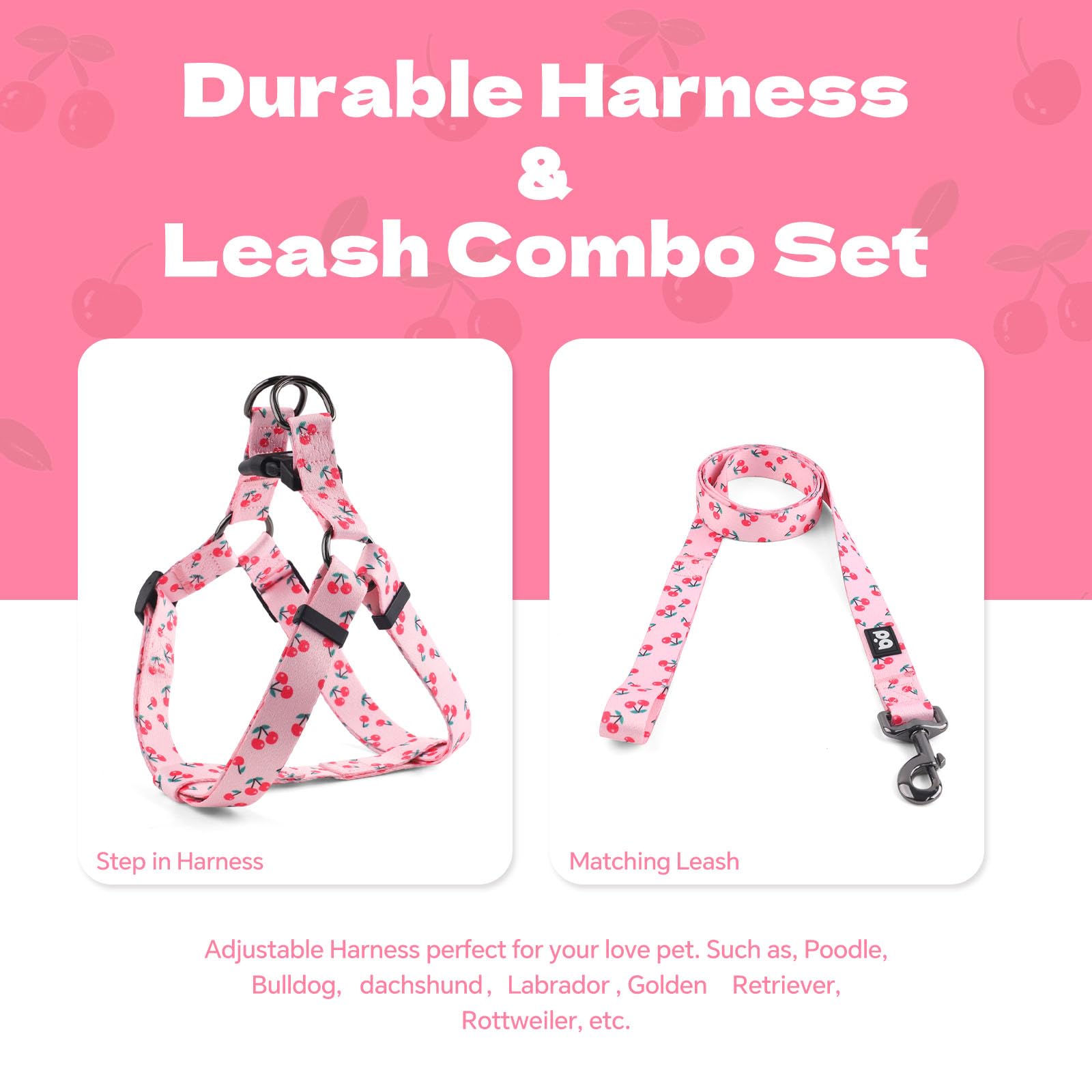 QQPETS arnés ajustable con dos correas para ajuste seguro.