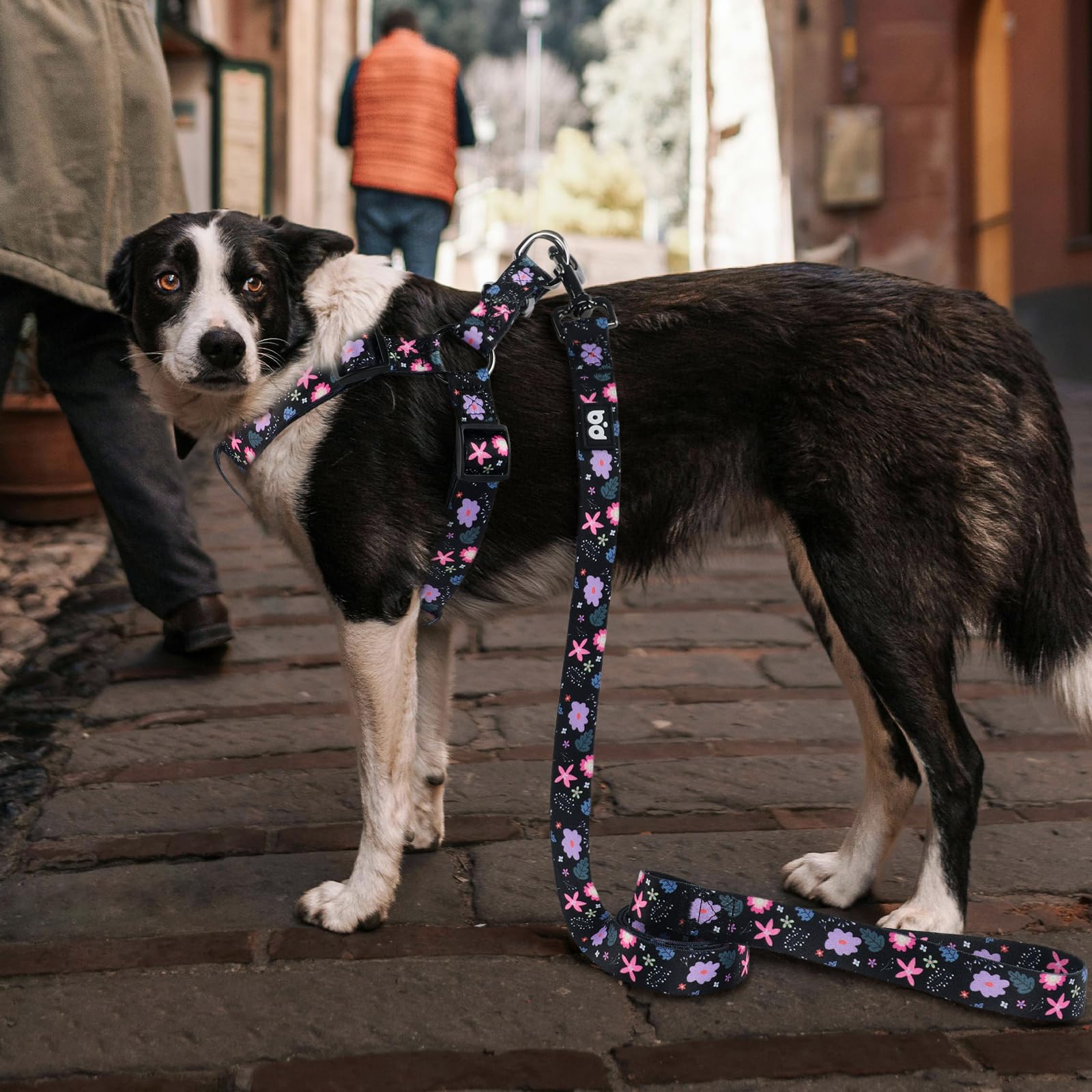 QQPETS arnés con ajuste doble para talla precisa
