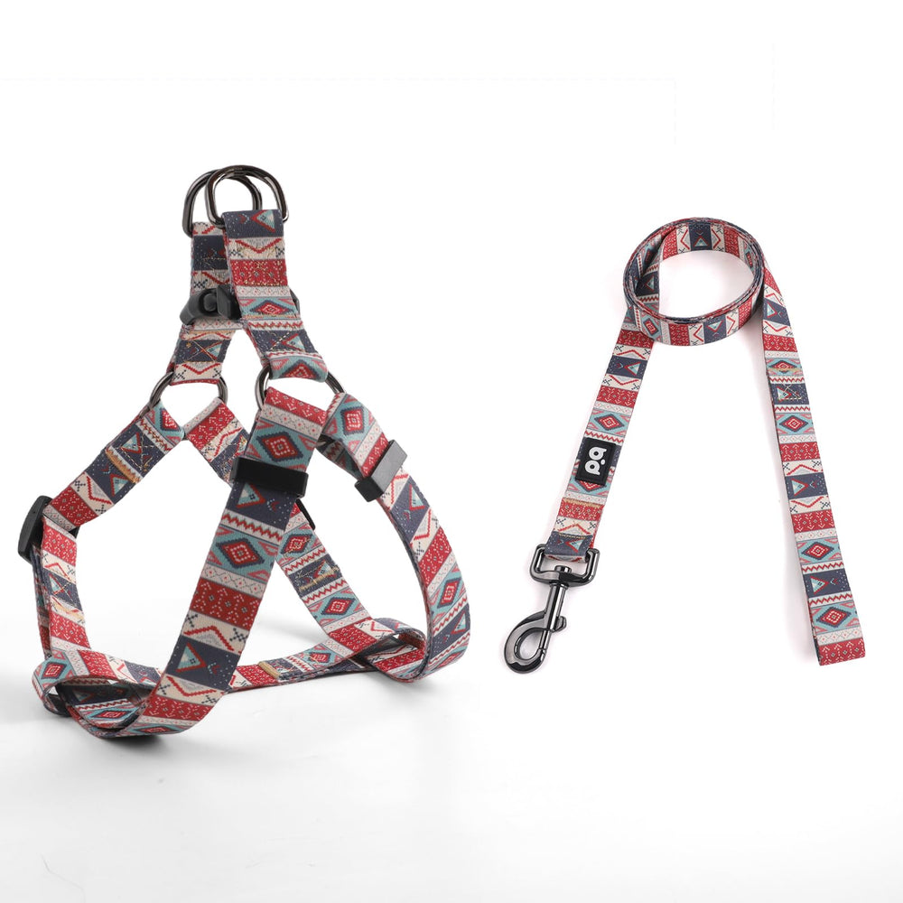 QQPETS arnés con correa conjunto ajustable para paseos cómodos y seguros.