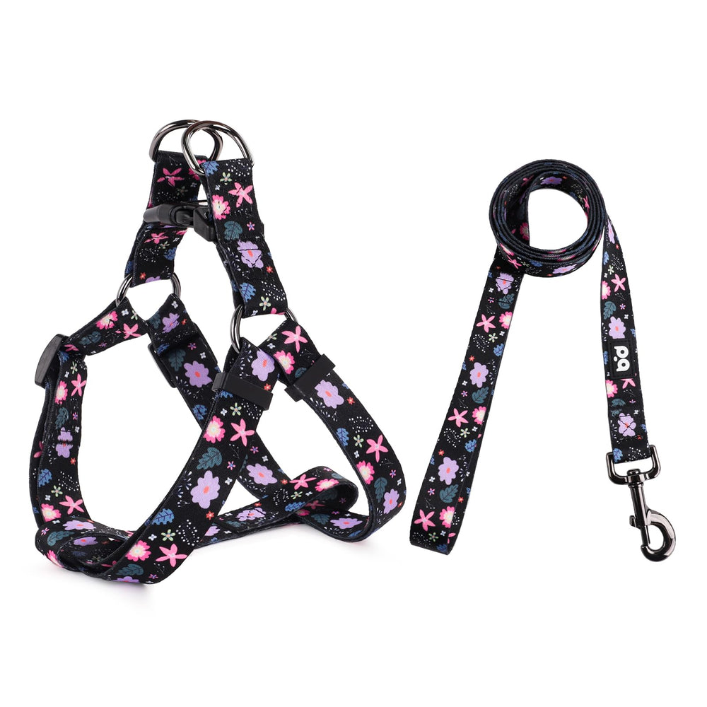 QQPETS arnés con diseño de patrones para paseos con estilo