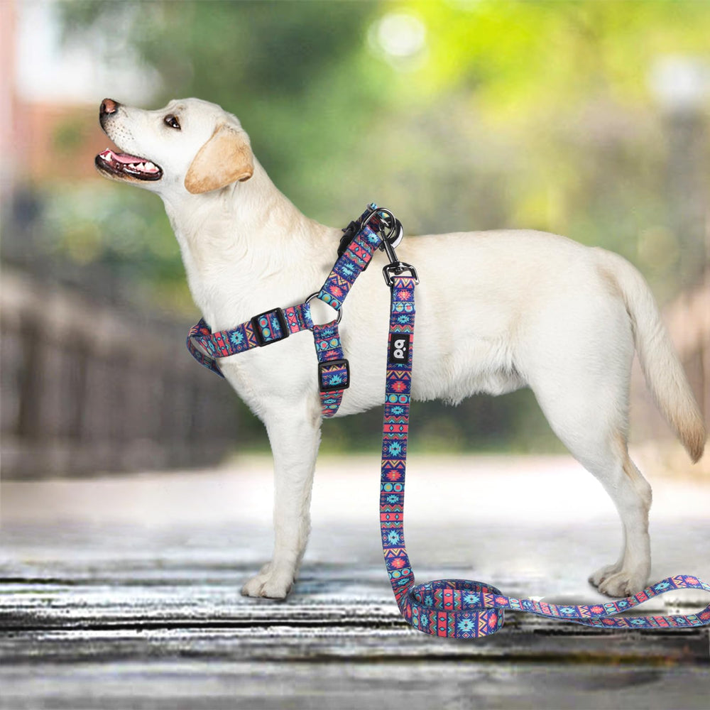 QQPETS arnés diseño patrón llamativo para caminar con estilo.