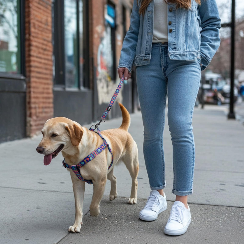 QQPETS arnés dos ajustes para un ajuste seguro y cómodo.
