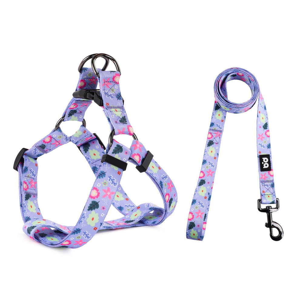 QQPETS arnés para perro ajustable y duradero para paseos diarios.