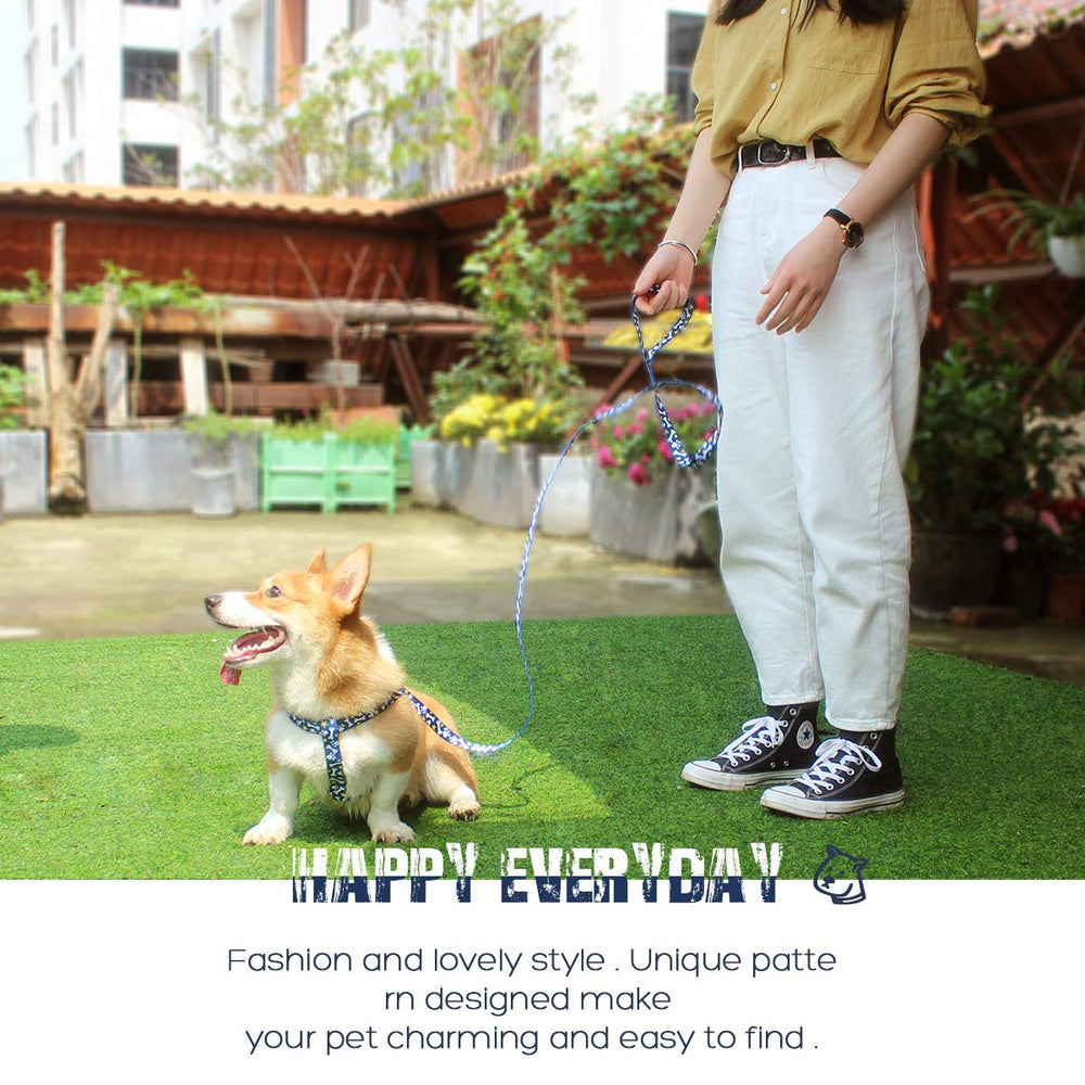 QQPETS diseño de ajuste doble, se adapta a diferentes tallas con seguridad.