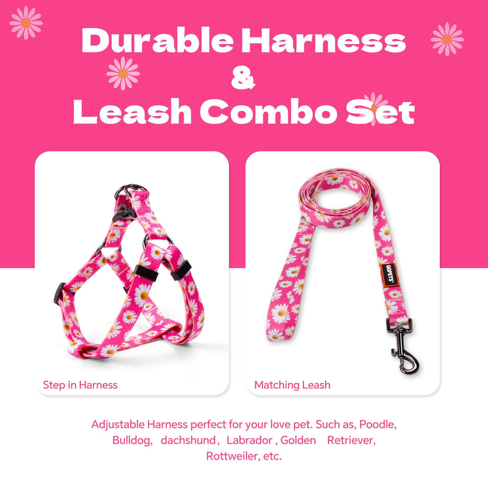 QQPETS Arnés con dos correas ajustables para un ajuste seguro.