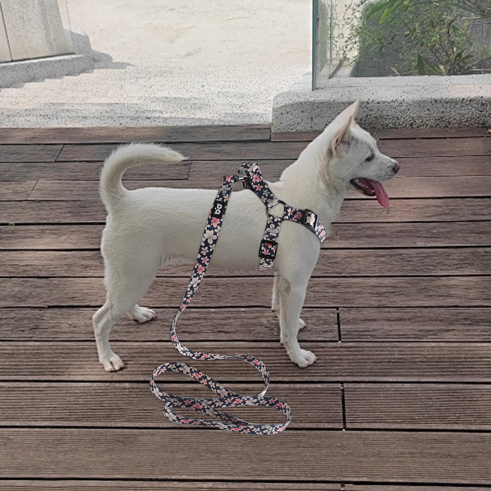 QQPETS arnés con clip trasero antitorsión para seguridad