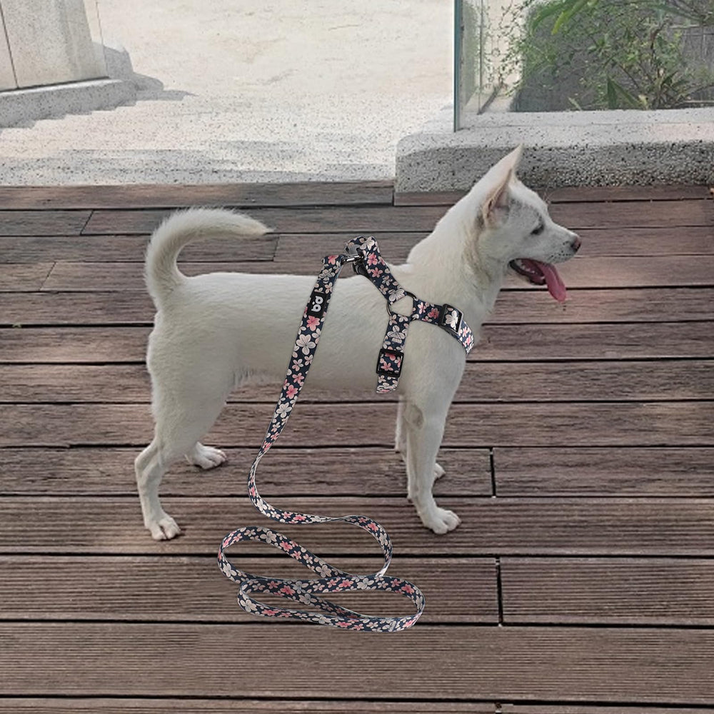 QQPETS arnés con clip trasero antitorsión para seguridad