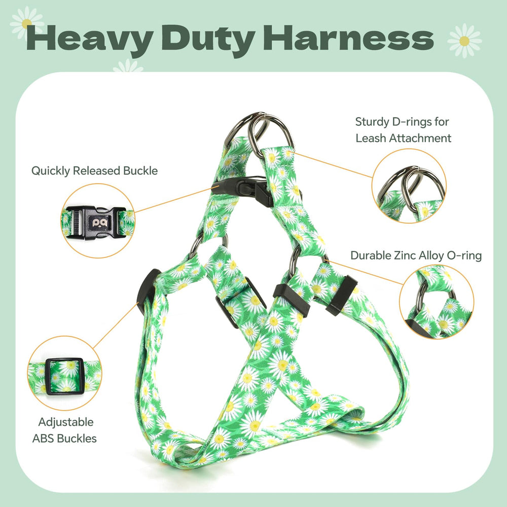 QQPETS arnés diseño patrón llamativo para estilo en cada paseo.