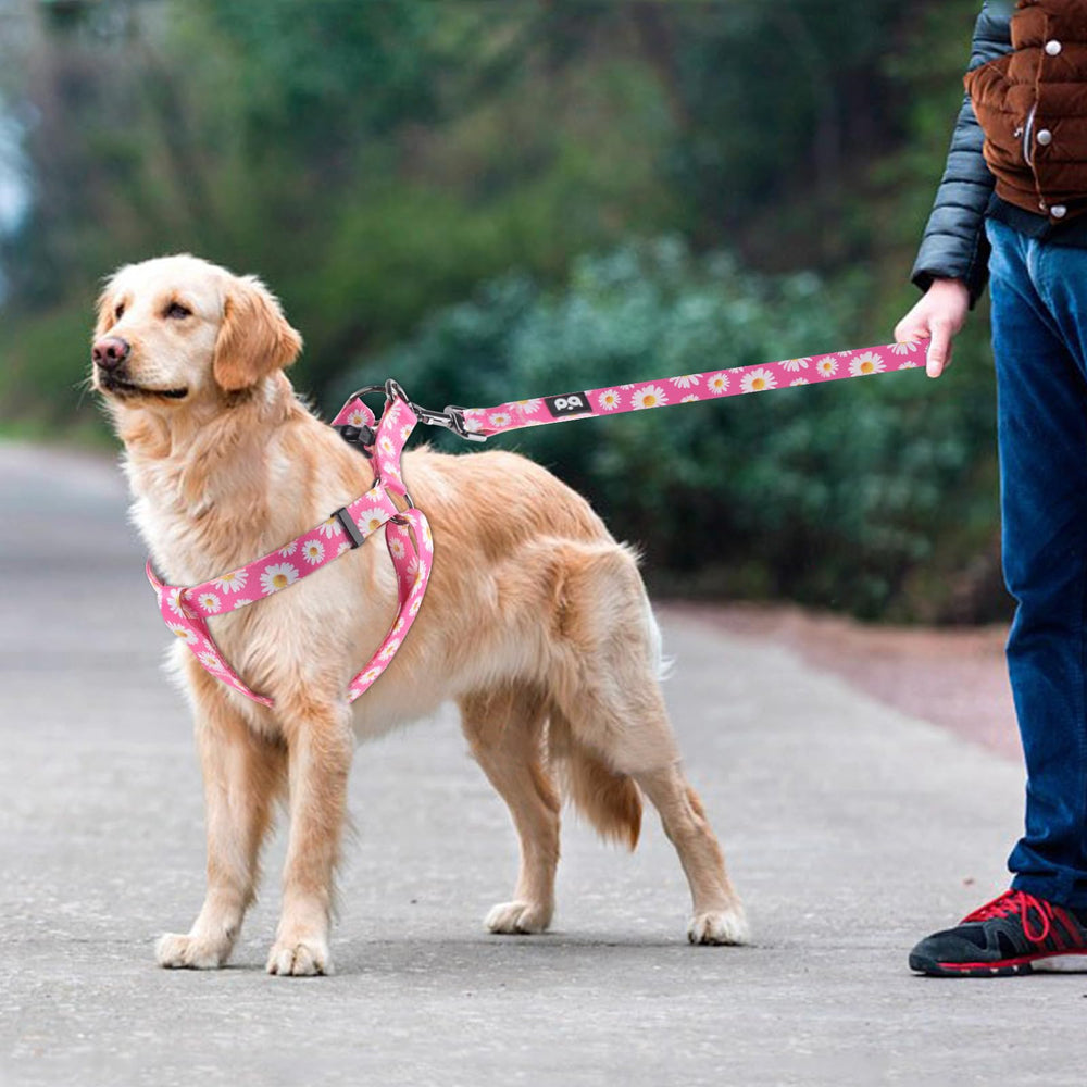 QQPETS Arnés con diseño de patrón llamativo para paseos con estilo.