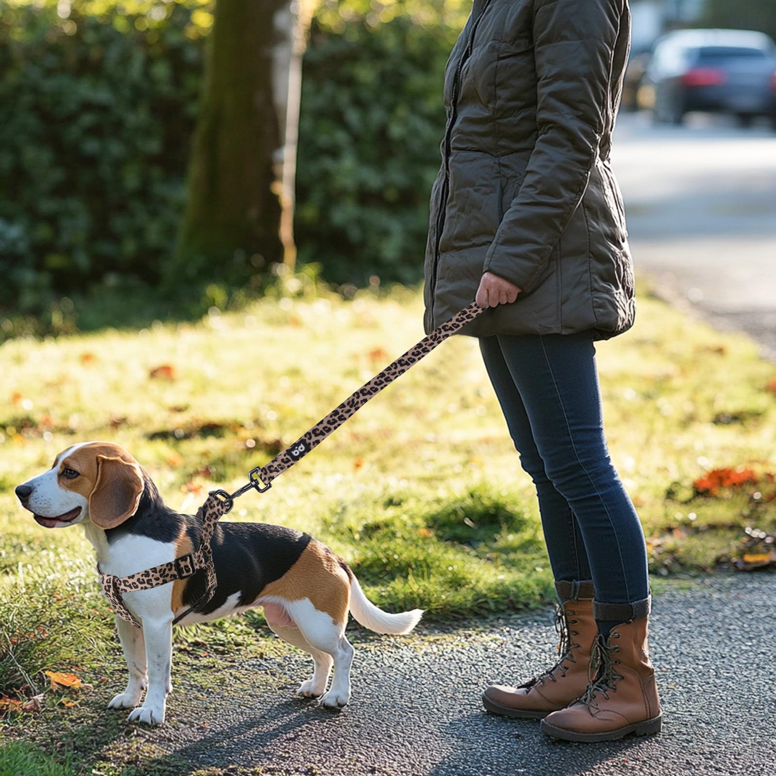 QQPETS arnés con dos ajustes, se adapta a perros de múltiples tallas.