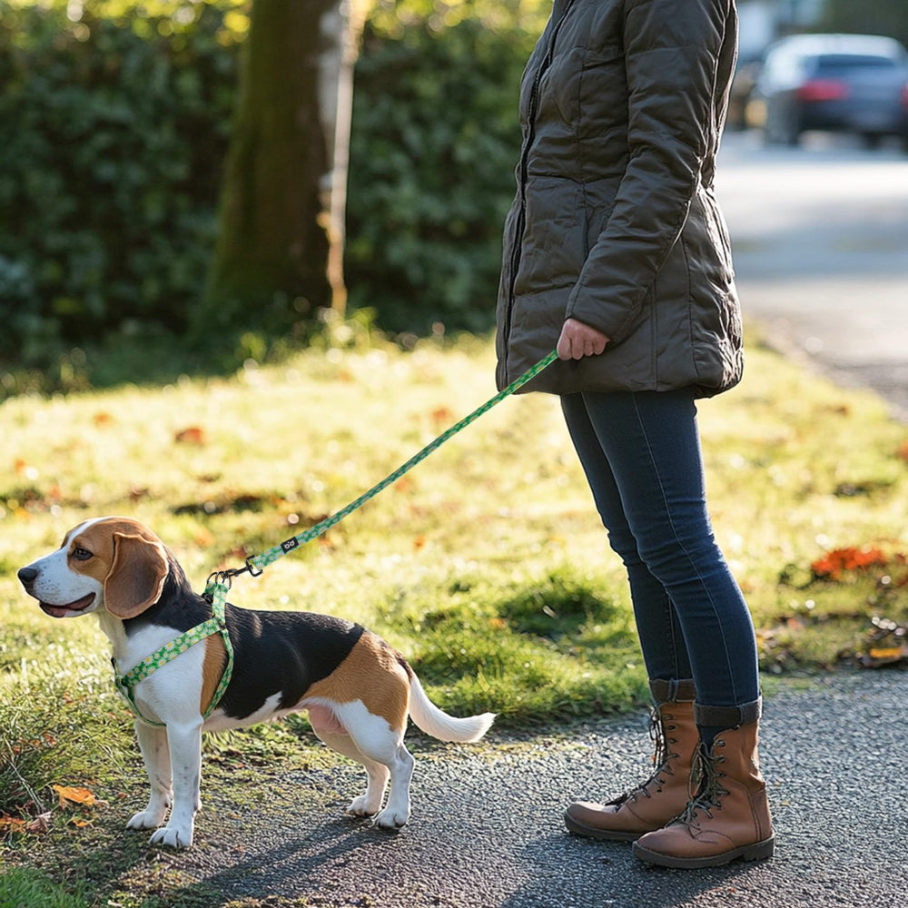 QQPETS arnés enganche trasero para enganche estable en paseos.